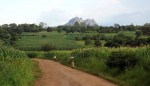Big Ag and the Small-Scale African Farmer