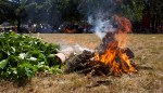 Strength From Grief: How Aboriginal People Experience the Bushfire Crisis