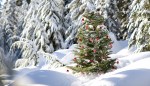 Oh, Christmas Tree… Fake Christmas Tree?