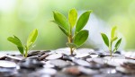 A Guide to Climate Reparations