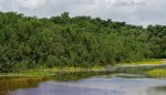 Jamaica’s Climate-Resilient Coastline