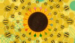 Murmurations: Wisdom From Women Changemakers